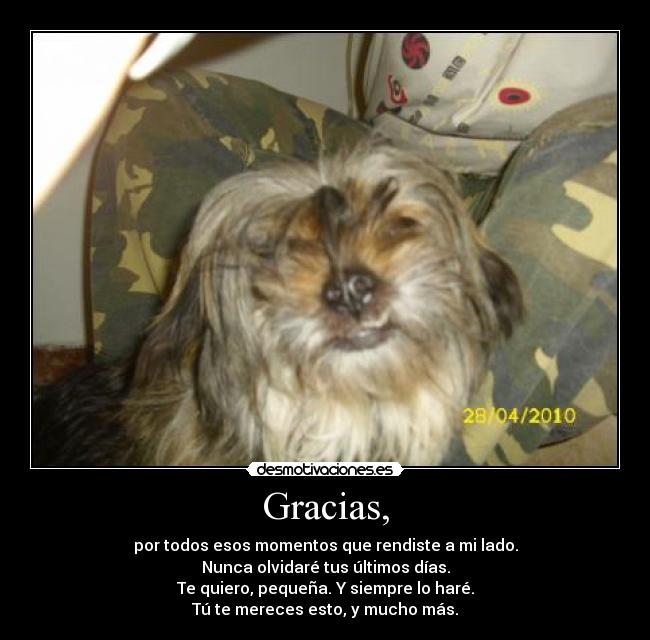 Gracias, - por todos esos momentos que rendiste a mi lado.
Nunca olvidaré tus últimos días.
Te quiero, pequeña. Y siempre lo haré.
Tú te mereces esto, y mucho más.