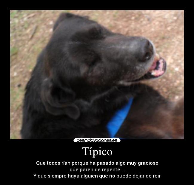 Típico -