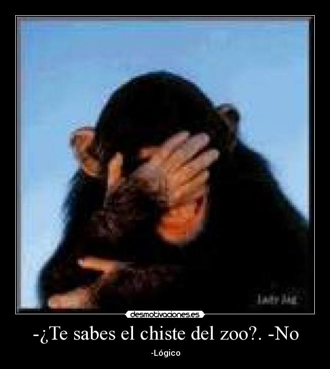 carteles chiste ffffffffffff desmotivaciones