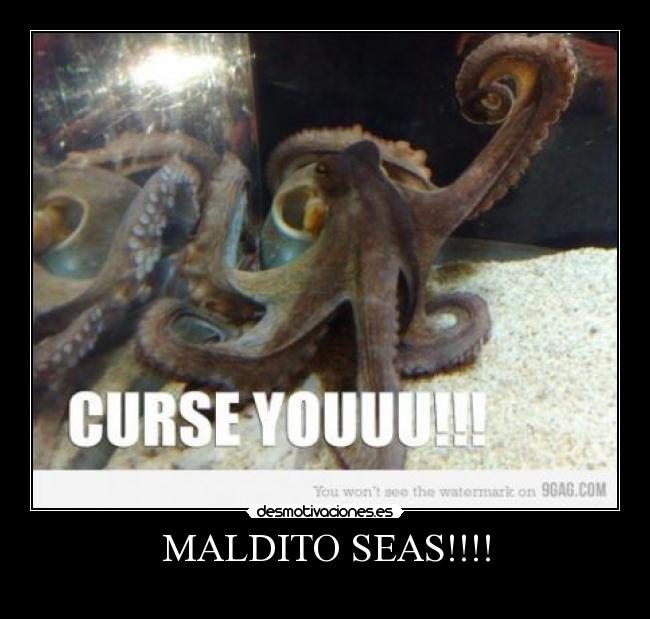 MALDITO SEAS!!!! -