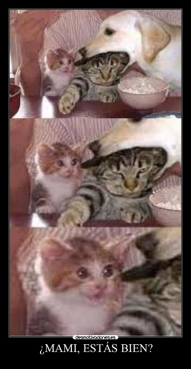 ¿MAMI, ESTÁS BIEN? -