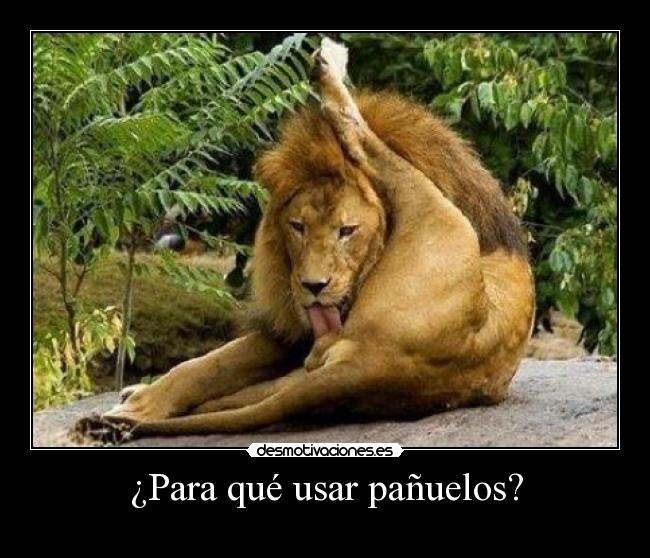 ¿Para qué usar pañuelos? -