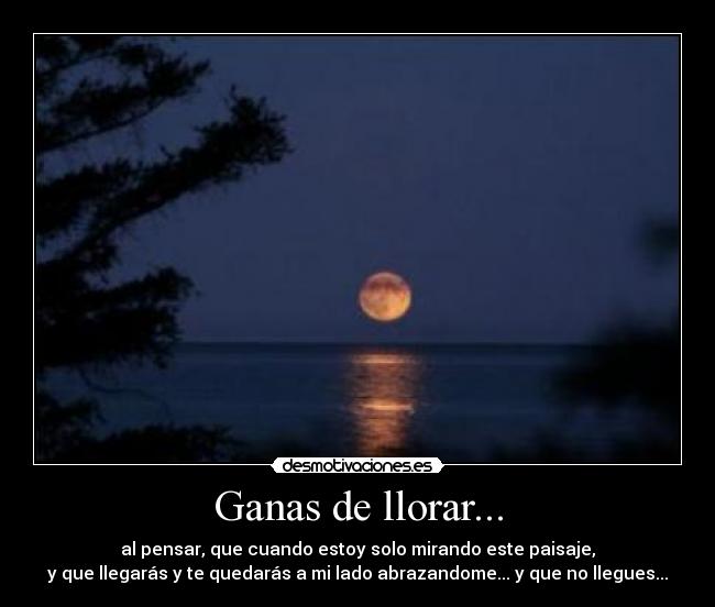 Ganas de llorar... - al pensar, que cuando estoy solo mirando este paisaje,
y que llegarás y te quedarás a mi lado abrazandome... y que no llegues...