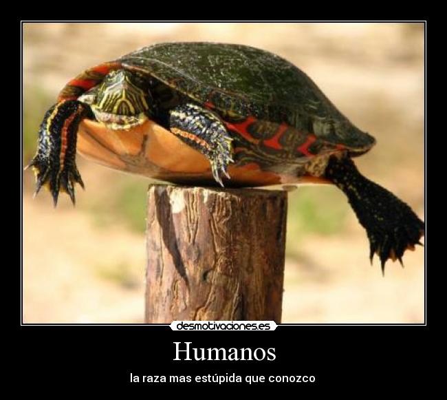 Humanos - 