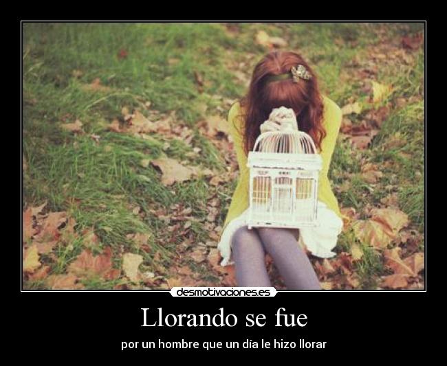 Llorando se fue - 