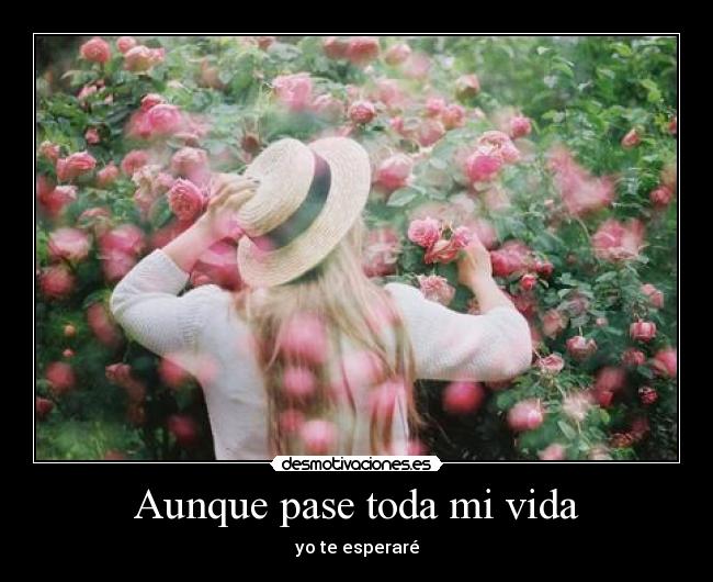 Aunque pase toda mi vida - yo te esperaré