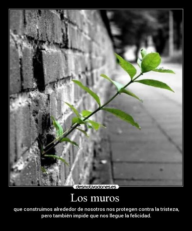 Los muros - que construimos alrededor de nosotros nos protegen contra la tristeza,
pero también impide que nos llegue la felicidad.