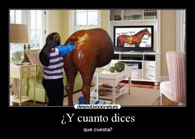 ¿Y cuanto dices - que cuesta?