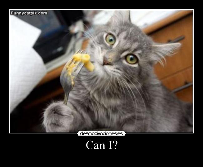Can I? -