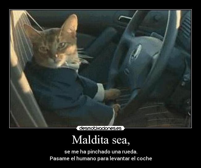 Maldita sea, -