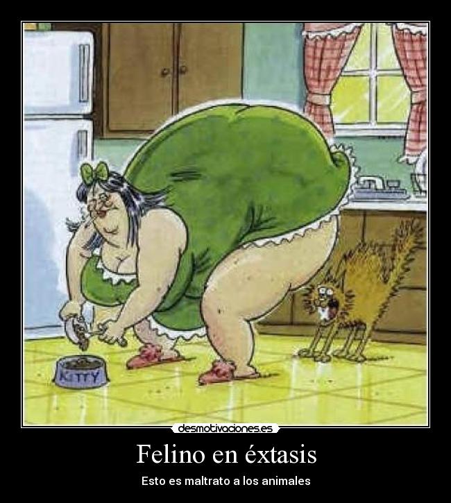 Felino en éxtasis - Esto es maltrato a los animales