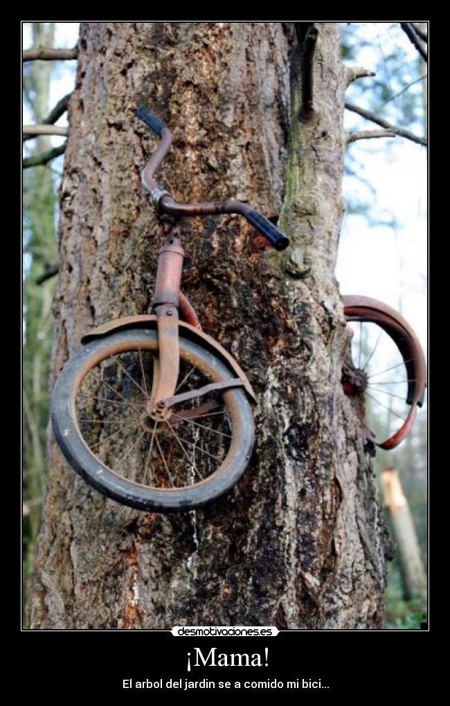 ¡Mama! - El arbol del jardin se a comido mi bici...