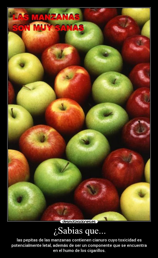 ¿Sabias que... - las pepitas de las manzanas contienen cianuro cuyo toxicidad es
potencialmente letal, además de ser un componente que se encuentra
en el humo de los cigarillos.