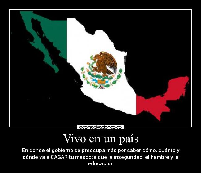 carteles vivo pais donde gobierno preocupa mas saber donde cuanto como cagar perro mascota inseguridad desmotivaciones