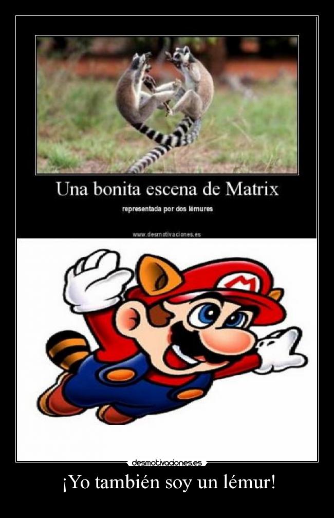 ¡Yo también soy un lémur! - 