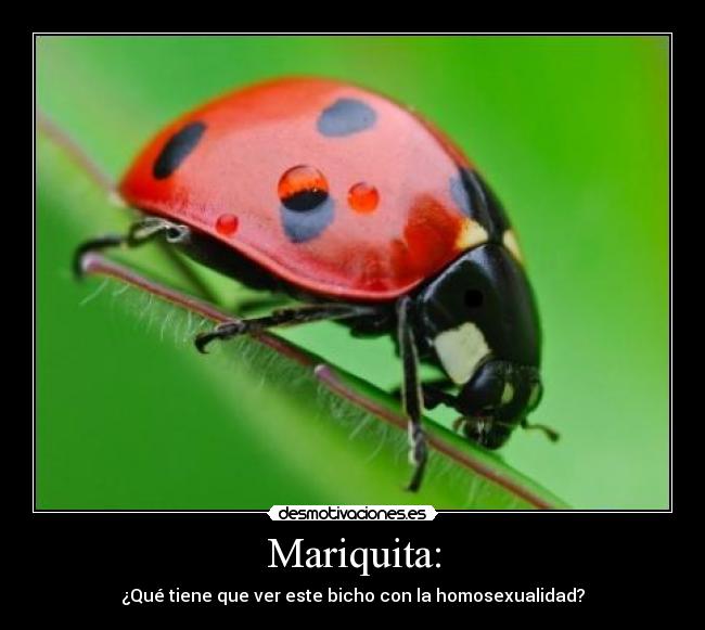 Mariquita: - 