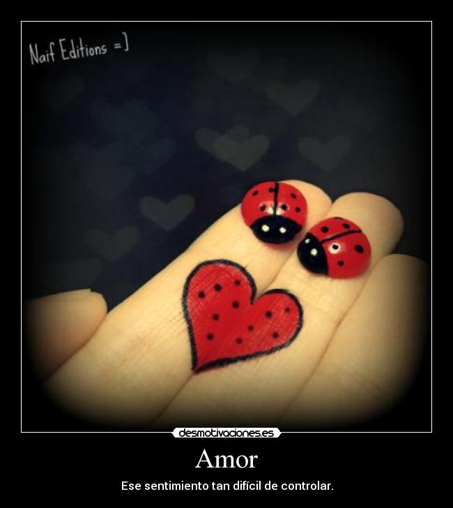 Amor - 