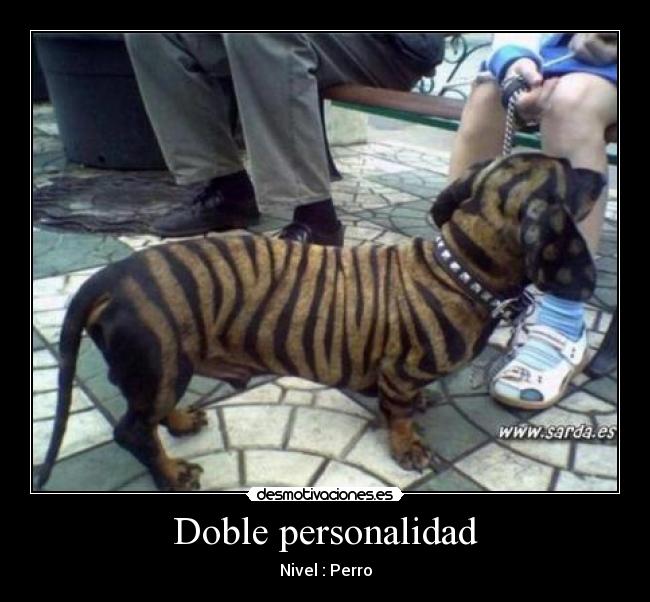Doble personalidad -