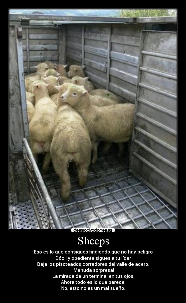 Sheeps - Eso es lo que consigues fingiendo que no hay peligro
Dócil y obediente sigues a tu líder
Baja los pisoteados corredores del valle de acero.
¡Menuda sorpresa!
La mirada de un terminal en tus ojos.
Ahora todo es lo que parece.
No, esto no es un mal sueño.
