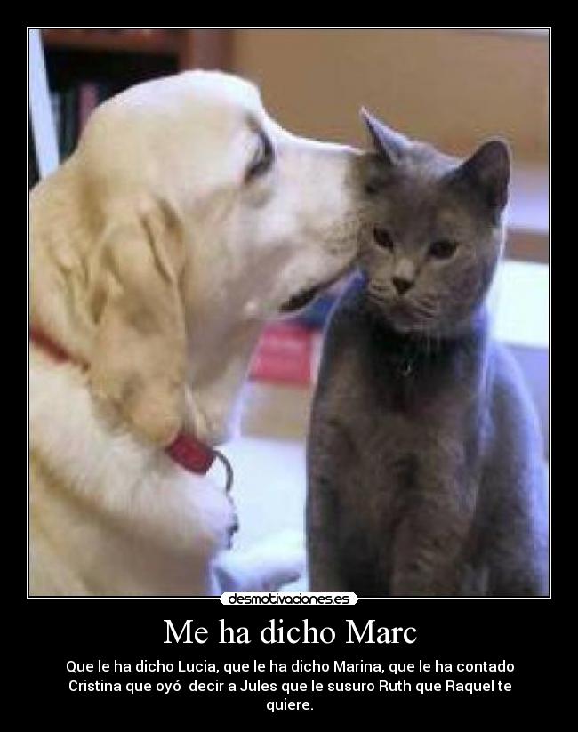 Me ha dicho Marc - 