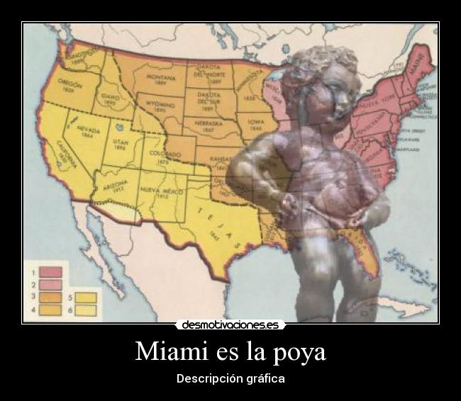 Miami es la poya - 