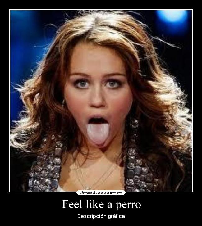 Feel like a perro - Descripción gráfica