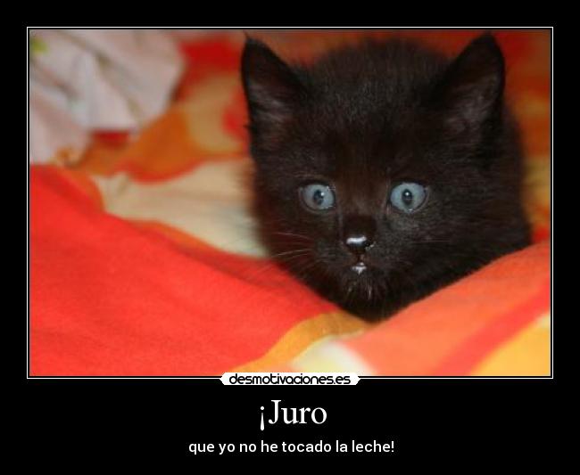 ¡Juro - que yo no he tocado la leche!