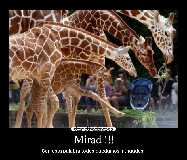 Mirad !!! -