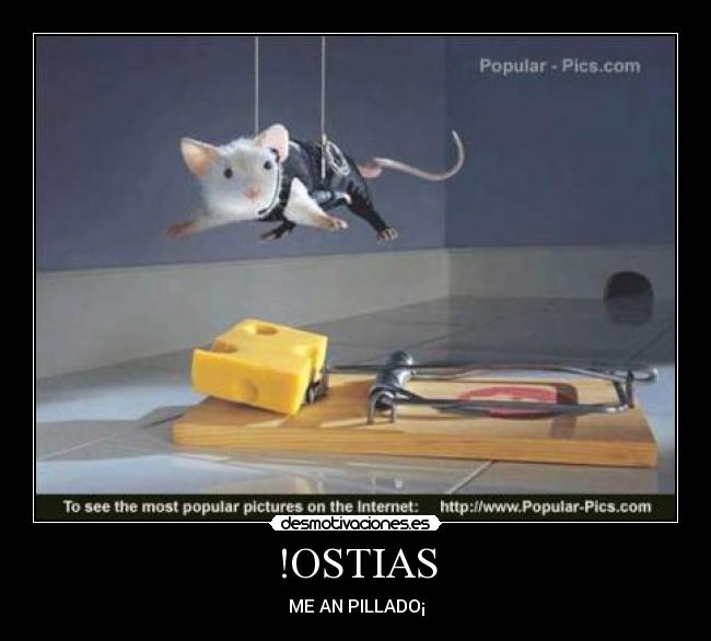 !OSTIAS - ME AN PILLADO¡