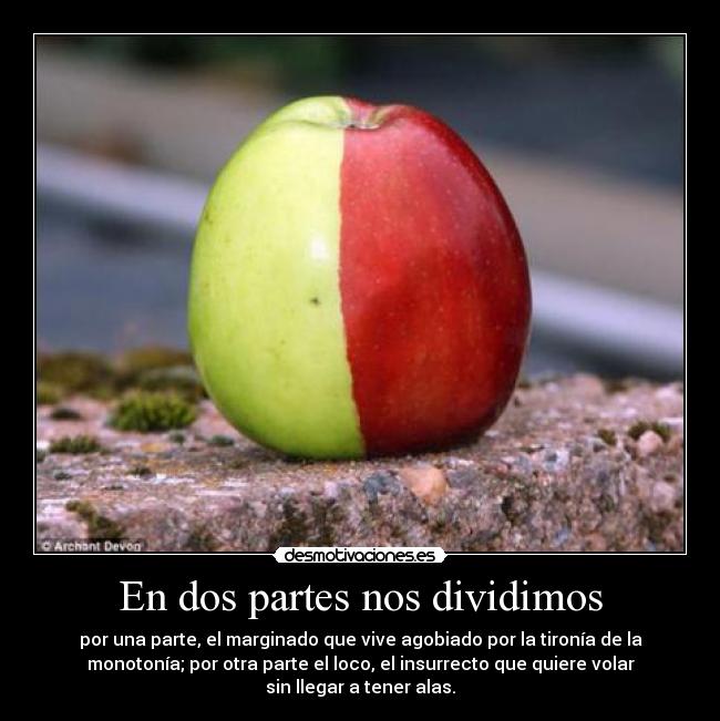 En dos partes nos dividimos - por una parte, el marginado que vive agobiado por la tironía de la
monotonía; por otra parte el loco, el insurrecto que quiere volar
sin llegar a tener alas.