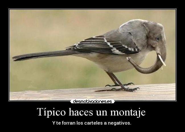 Típico haces un montaje - Y te forran los carteles a negativos.