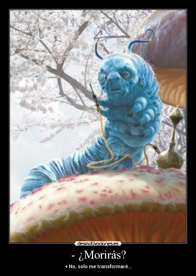 - ¿Morirás? -