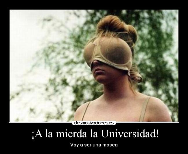 carteles mosca desmotivaciones