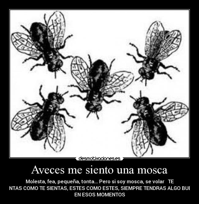 Aveces me siento una mosca - 