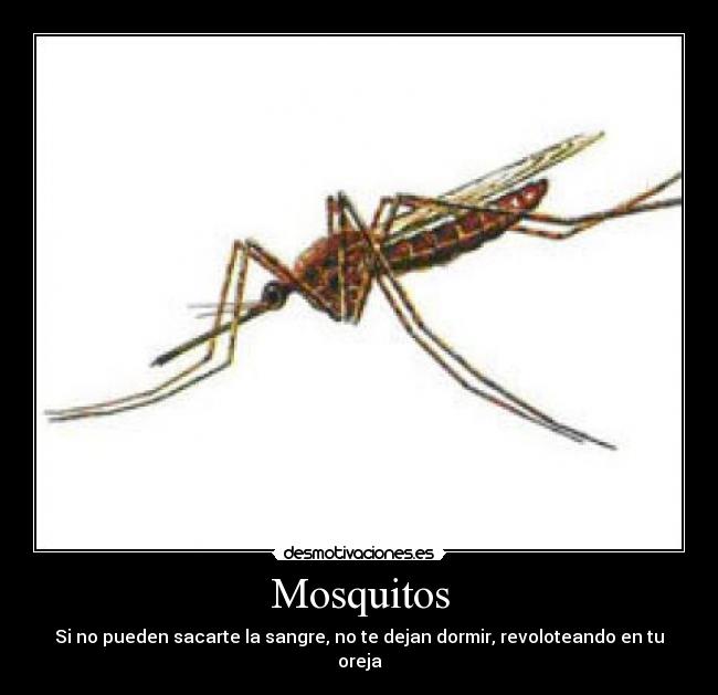 carteles sexo desmotivaciones