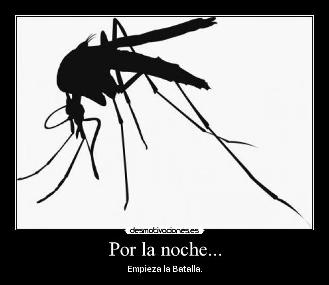 carteles noche mosquito batalla desmotivaciones