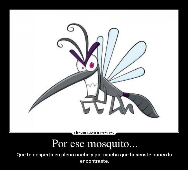 Por ese mosquito... - Que te despertó en plena noche y por mucho que buscaste nunca lo encontraste.
