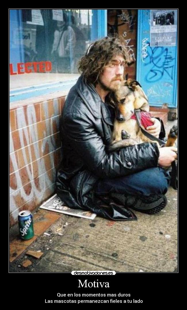 Motiva - Que en los momentos mas duros
Las mascotas permanezcan fieles a tu lado