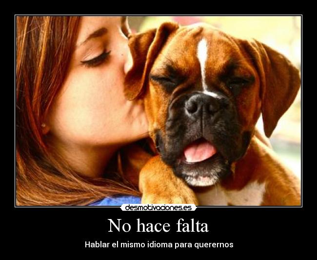 No hace falta - Hablar el mismo idioma para querernos