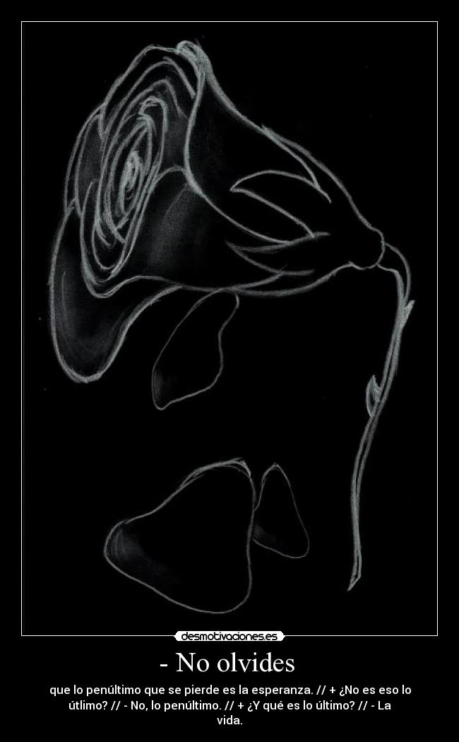 - No olvides  - 