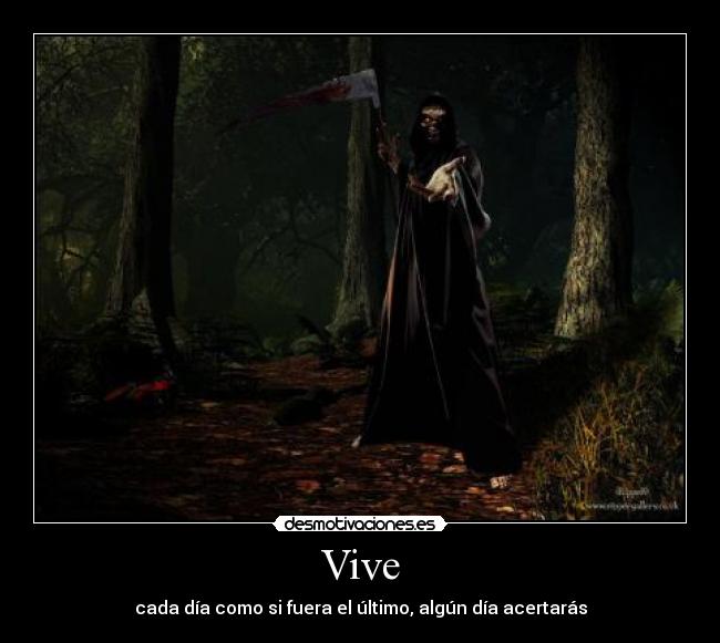 Vive - 