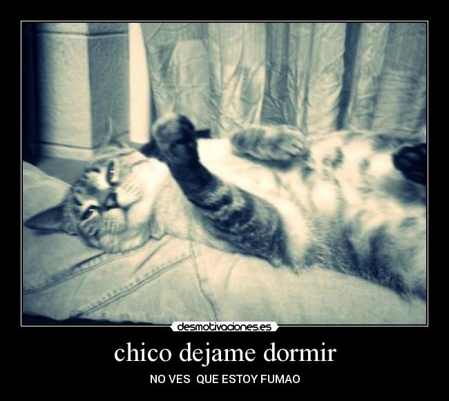 chico dejame dormir - 