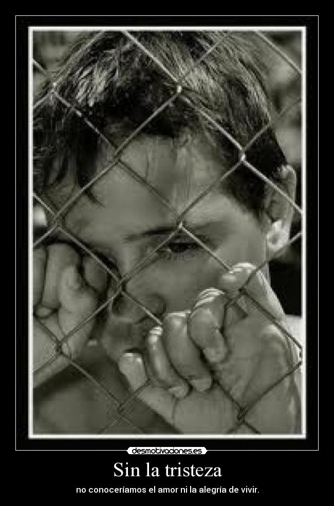 carteles tristeza sin tristeza desmotivaciones