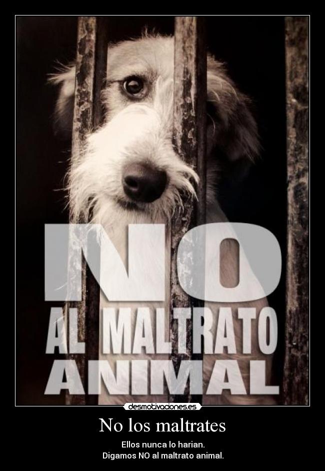 No los maltrates -