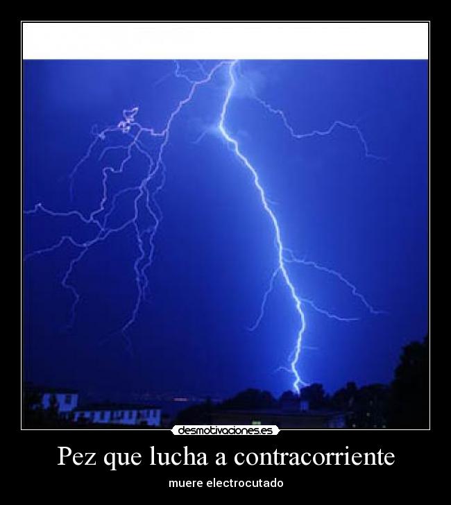 Pez que lucha a contracorriente - muere electrocutado