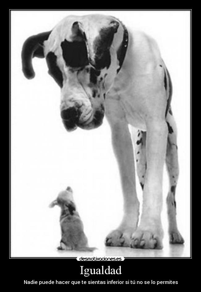 Igualdad -