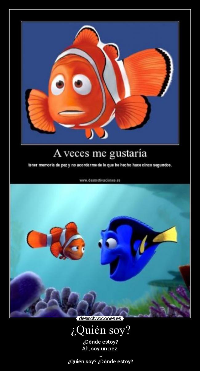 ¿Quién soy? - ¿Dónde estoy?
Ah, soy un pez.
...
¿Quién soy? ¿Dónde estoy?