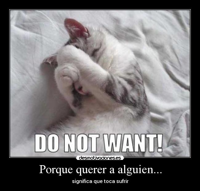 Porque querer a alguien... -