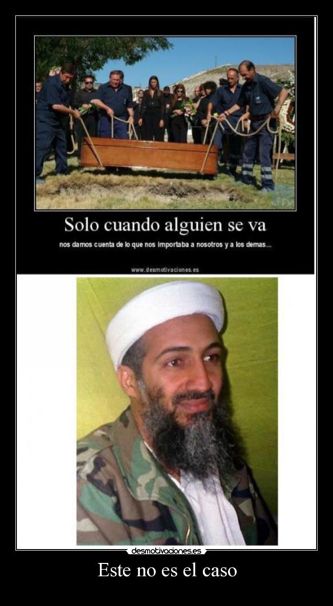 carteles bin laden muerto desmotivaciones