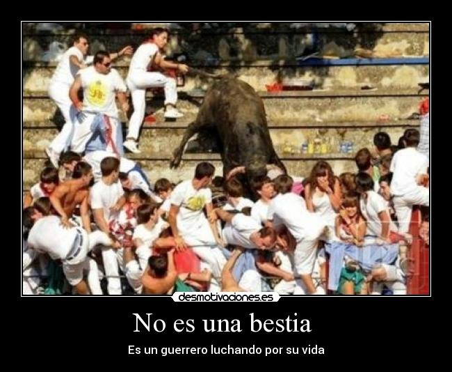 No es una bestia - Es un guerrero luchando por su vida